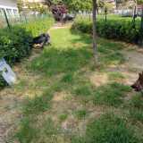 Mentre nella zona �alta� del quartiere, in via Tridente, sarebbe presente una zona dedicata agli animali all�interno del giardinetto Louis Braille: ma si tratta di un fazzoletto di terra poco sufficiente per una minima corsetta, sprovvisto pure di fontanelle